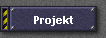 Projekt