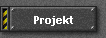 Projekt